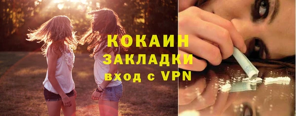 ПСИЛОЦИБИНОВЫЕ ГРИБЫ Белокуриха