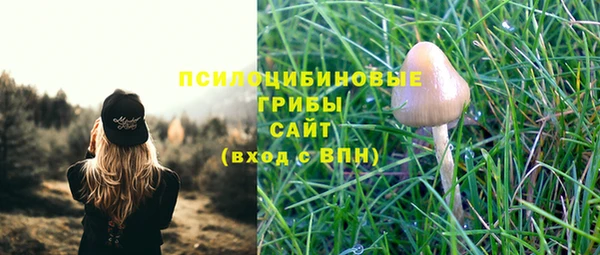 ПСИЛОЦИБИНОВЫЕ ГРИБЫ Белокуриха