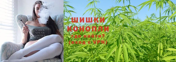 первитин Богородицк