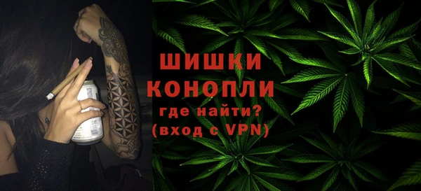 сатива Белоозёрский