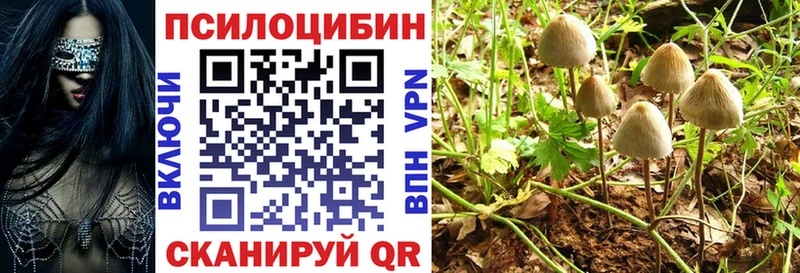 Галлюциногенные грибы Cubensis  blacksprut ССЫЛКА  Черногорск  продажа наркотиков 